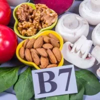 105290183.webp 105290183.webp