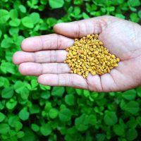 GettyImages-537832811-2000-4e7c213730ea4e4c9c473ecf5f343423.jpg GettyImages-537832811-2000-4e7c213730ea4e4c9c473ecf5f343423.jpg